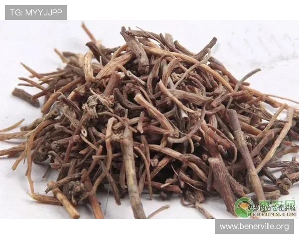 凯发旗舰厅登录免费下载：最新版本下载安装指南与安全保障